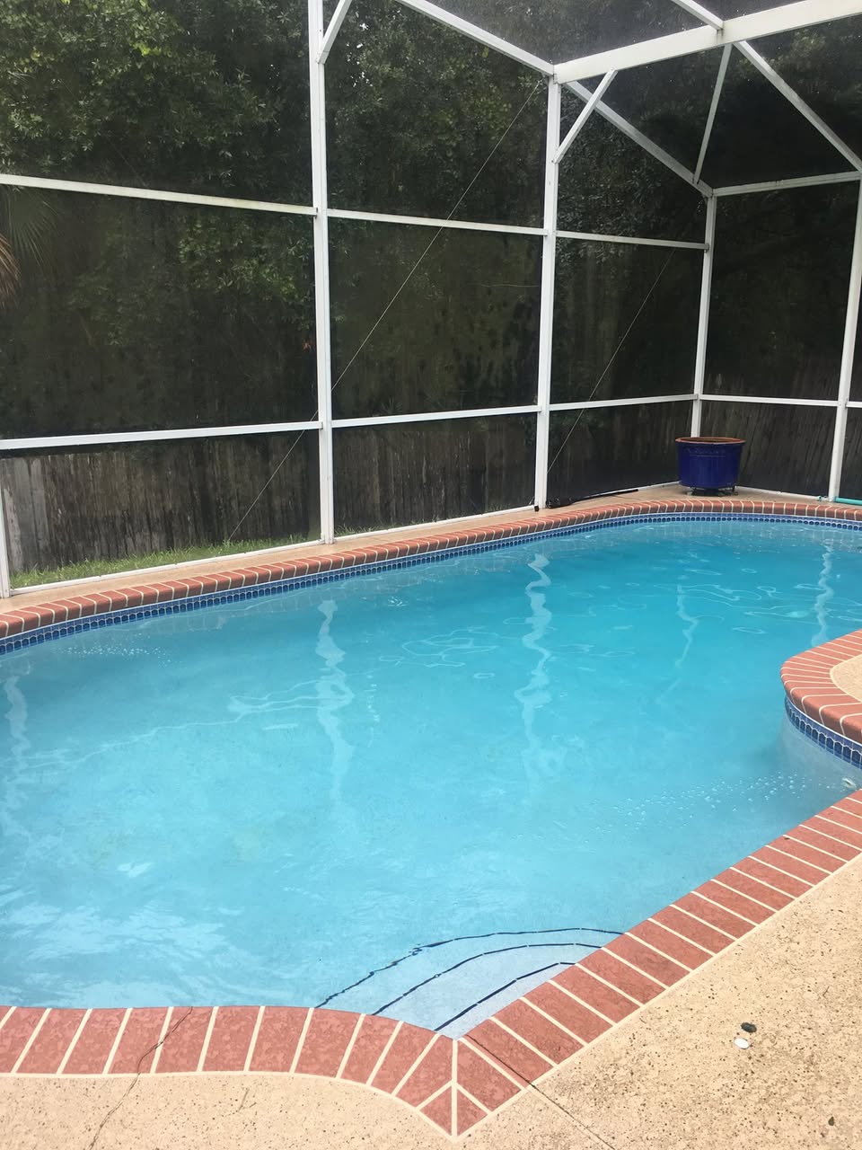 Crystal clear blue screened-enclosure pool after Sunny Clean Pool weekly service in Orlando