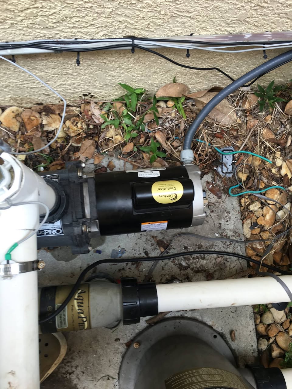 Newly installed Century pool pump motor on FloPro pump at Orlando equipment pad