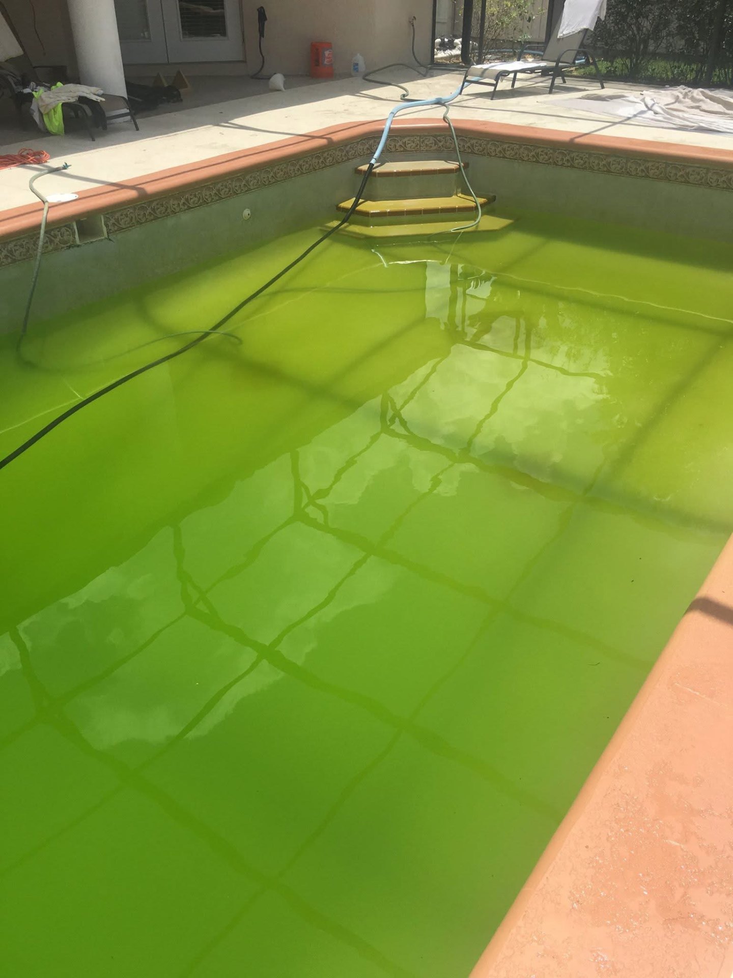 Green algae pool before Sunny Clean Pool restoration